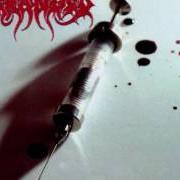 Il testo EXPERIENCE THE FLESH dei DERANGED è presente anche nell'album High on blood (1997)