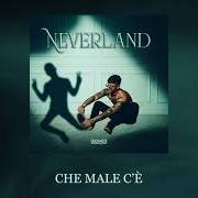 Il testo LEI VUOLE di LUDWIG è presente anche nell'album Neverland (2021)