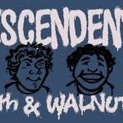 Il testo BABY DONCHA KNOW dei DESCENDENTS è presente anche nell'album 9th & walnut (2021)