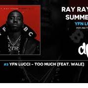 Il testo GO CRAZY di YFN LUCCI è presente anche nell'album Ray ray from summerhill (2018)