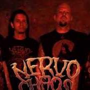 Il testo THE TRUTH APPEARS di NERVOCHAOS è presente anche nell'album Live rituals (2011)