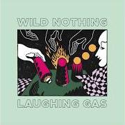 Il testo THE WORLD IS A HUNGRY PLACE di WILD NOTHING è presente anche nell'album Laughing gas (2020)