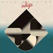 Il testo LETTING GO di WILD NOTHING è presente anche nell'album Indigo (2018)
