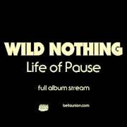 Il testo REICHPOP di WILD NOTHING è presente anche nell'album Life of pause (2016)