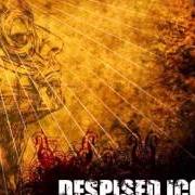 Il testo SILVER PLATED ADVOCATE dei DESPISED ICON è presente anche nell'album The healing process (2005)