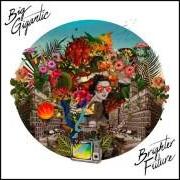 Il testo THE LITTLE THINGS di BIG GIGANTIC è presente anche nell'album Brighter future (2016)