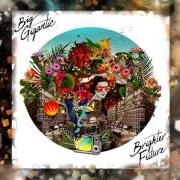 Il testo RENEGADE di BIG GIGANTIC è presente anche nell'album Brighter future 2 (2022)