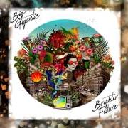 Il testo LOSING MY MIND di BIG GIGANTIC è presente anche nell'album Brighter future 2 (2022)