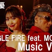 Jungle fire Jungle fire