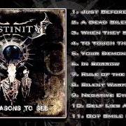 Il testo JUST BEFORE... dei DESTINITY è presente anche nell'album Xi reasons to see (2010)