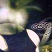Il testo THE ADMIRATION OF SADNESS dei DESTINY è presente anche nell'album Diving into eternity (2002)