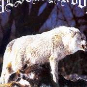 Il testo AUSTRALIAN AND ANTI-CHRIST dei DESTROYER 666 è presente anche nell'album Unchain the wolves (1997)