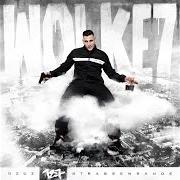 Il testo NUR MIT DEN ECHTEN di GZUZ è presente anche nell'album Wolke 7 (2018)