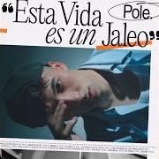 Esta vida es un jaleo Esta vida es un jaleo