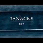 Il testo INTRODUCTION di THYLACINE è presente anche nell'album Transsiberian (2015)