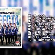 Il testo ELEGISTE UN ERROR di BANDA LOS RECODITOS è presente anche nell'album Perfecta (2019)