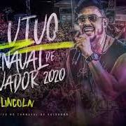 Il testo SURTADA (AO VIVO) di LINCOLN & DUAS MEDIDAS è presente anche nell'album Lincoln ao vivo no carnaval de salvador 2020 (2020)