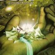 Il testo FRONTIERS dei DGM è presente anche nell'album Different shapes (2007)