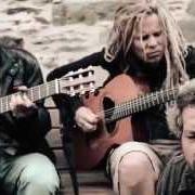 Il testo POULET di ZOUFRIS MARACAS è presente anche nell'album Chienne de vie (2015)