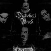 Il testo DREAM OF MAIA dei DIABOLICAL BREED è presente anche nell'album Dark alliance (2000)