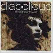 Il testo AND DEEPEST SADNESS dei DIABOLIQUE è presente anche nell'album The black flower (1999)
