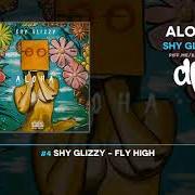 Il testo WAIKIKI FLOW di SHY GLIZZY è presente anche nell'album Aloha (2019)