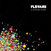 Il testo REACH OUT di FLEVANS è presente anche nell'album A distant view (2016)