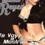 Il testo CANCION DE DOLOR PARA TI di DIANA REYES è presente anche nell'album Te voy a mostrar (2007)