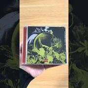 Der teufel auf meiner schulter sagt es wird alles okay