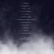 Il testo 8 JAHRE di GREEEN è presente anche nell'album Smaragd (2019)