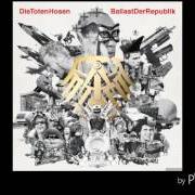 Il testo SCHADE, WIE KANN DAS PASSIEREN? dei DIE TOTEN HOSEN è presente anche nell'album Ballast der republik (2012)