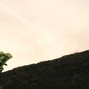 Il testo MIDDLE OF MY MIND di TOM ROSENTHAL è presente anche nell'album The pleasant trees, vol. 2 (2015)