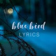 Il testo BLUE BIRD di ZACHARY KNOWLES è presente anche nell'album Feelings (2018)
