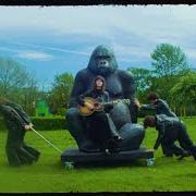 Il testo AMSTERDAM IN THE RAIN di BLOSSOMS è presente anche nell'album Gary (2024)