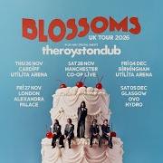 Il testo ADDITIONAL DRIVER di BLOSSOMS è presente anche nell'album Songs from the wedding cake (2026)