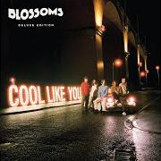 Il testo I CAN'T STAND IT di BLOSSOMS è presente anche nell'album Cool like you (2018)