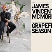 Il testo GONE di JAMES VINCENT MCMORROW è presente anche nell'album Grapefruit season (2021)