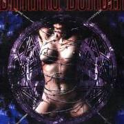 Il testo INDOCTRINATION dei DIMMU BORGIR è presente anche nell'album Puritanical euphoric misanthropia (2001)