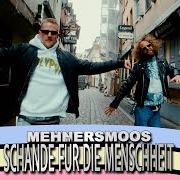 Neues von mehnersmoos