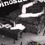 Il testo BEEN THERE ALL THE TIME dei DINOSAUR JR. è presente anche nell'album Beyond (2007)