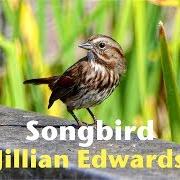 Il testo ONCE SHOULD BE ENOUGH di JILLIAN EDWARDS è presente anche nell'album Songbird (2009)