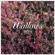 Il testo 1980S HORROR FILM di WALLOWS è presente anche nell'album Spring (2018)
