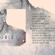 Il testo FEUERWERK di JORIS è presente anche nell'album Hoffnungslos hoffnungsvoll (2015)