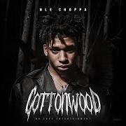 Il testo STEP di NLE CHOPPA è presente anche nell'album Cottonwood (2019)