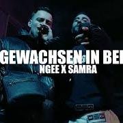 Il testo AUFGEWACHSEN IN BERLIN di NGEE è presente anche nell'album Aufgewachsen in berlin (2025)