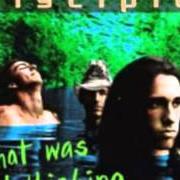 Il testo ALONE dei DISCIPLE è presente anche nell'album What was i thinking (1996)