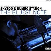 Il testo WE (USED TO) LIVE IN BROOKLYN, BABY di SKYZOO è presente anche nell'album The bluest note (2020)