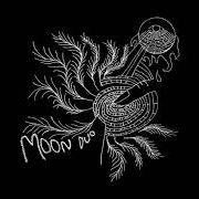 Il testo ESCAPE dei MOON DUO è presente anche nell'album Escape (2010)
