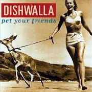 Il testo COUNTING BLUE CARS dei DISHWALLA è presente anche nell'album Pet your friends (1995)