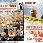 Il testo CHE NESSUNO SI MUOVA di GUE PEQUENO è presente anche nell'album Hashishinz sound